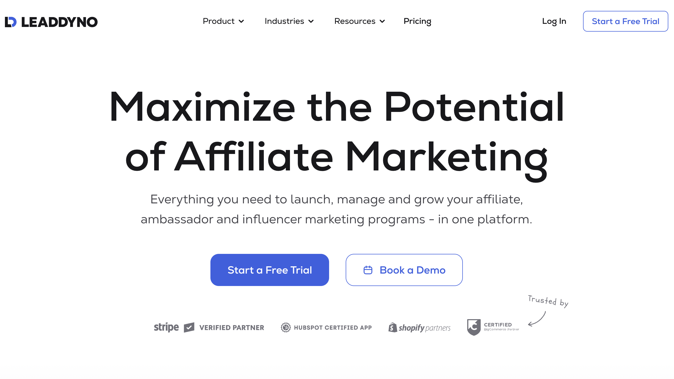 Maximize the potential of affiliate marketing
